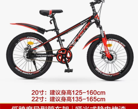 【狂欢价】2022新款上海永久牌儿童山地自...