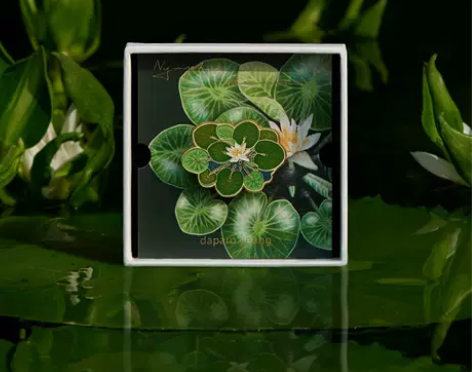 daparo卢旺达温泉睡莲夜光荧光设计师原...