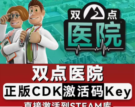 双点医院 正版游戏激活码cdk， 客户第一...