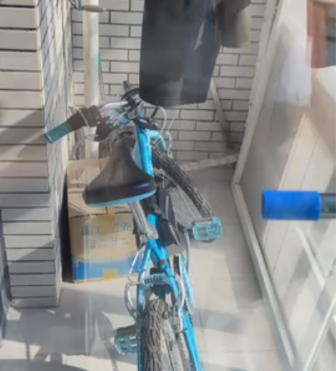 孩子的自行车，迪卡侬购买的变速儿童自行车，...