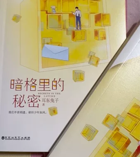 青春文学 暗格里的秘密 正版 当当购入  ...