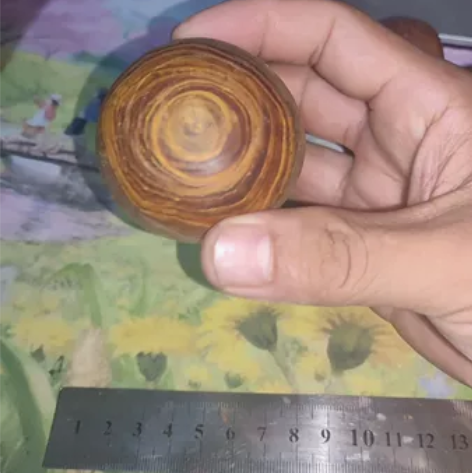 黄栌木小蘑菇，品相如图带点木皮[呲牙]，非...