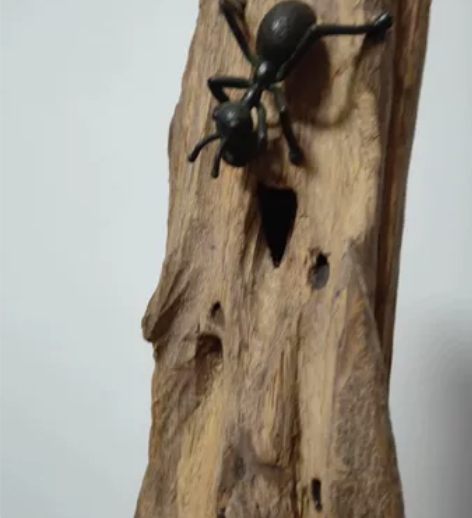 天然！天然虫漏沉香，有懂得的请让真看视频。...