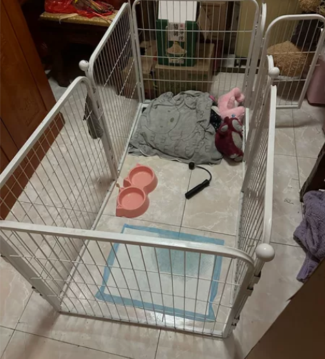 出大号狗围栏 狗笼 阜阳三里湾自提 感兴趣...