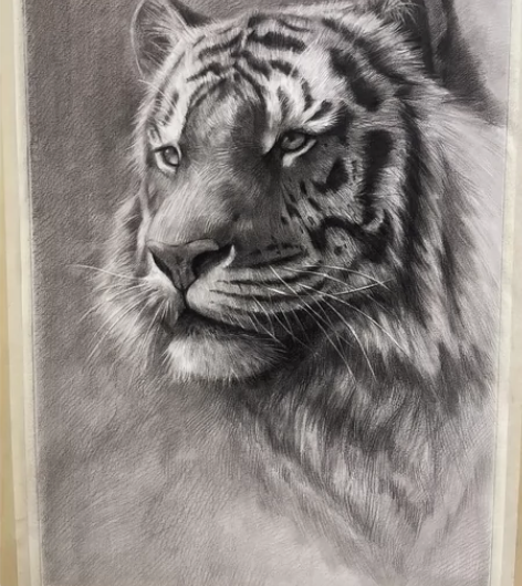 素描动物作品现货出售 个人手绘原画不是艺术...