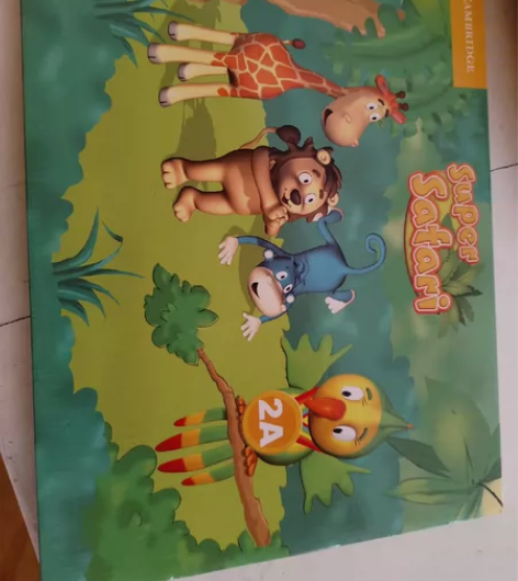 不是纸质书噢 Super Safari 剑...