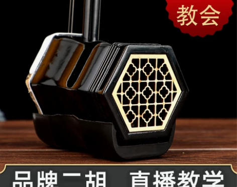 二胡乐器红木成人演奏专业民族乐器儿童初学者...