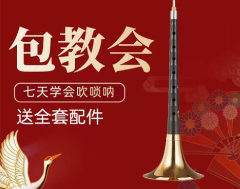新艺吹奏乌木黑檀木唢呐乐器全套d调D调初学...