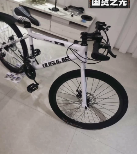 【仓库处理】全新永久同厂山地自行车26寸2...
