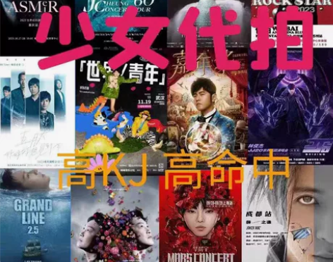 演唱会音乐节体育赛事代拍，成功率高，抢不到...