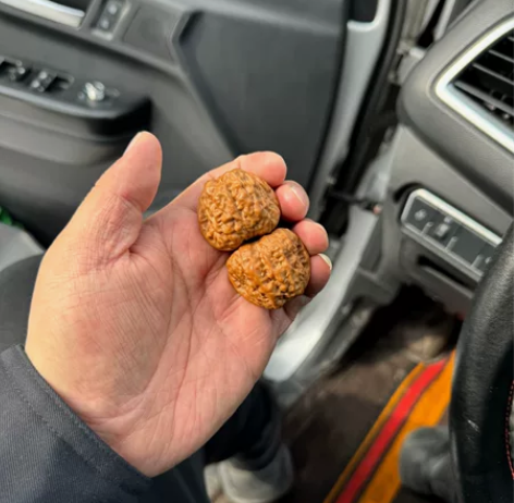 边38肚42高32肌肉蛙，有腿有眼四开背，...