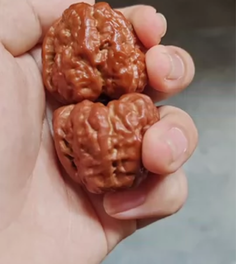 手感极好骨质坚硬怀柔蛙蛙，一只蝉形不是很好...