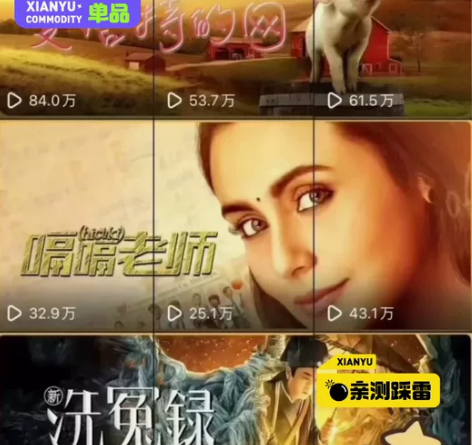 龙年电影解说项目  影视解说素材，文案剪辑...