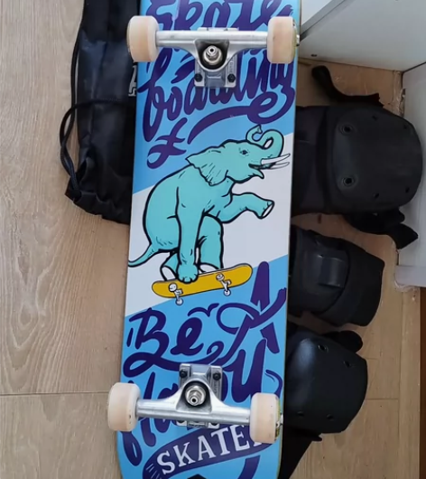 兄弟滑板冬天DBH新手入门成人儿童动作刷街...