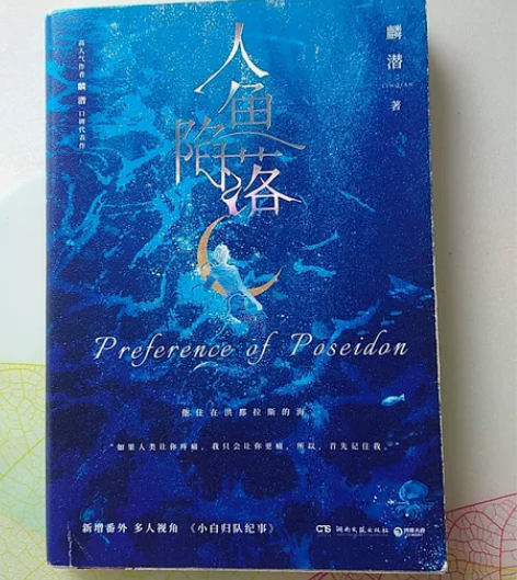 畅销青春文学 人鱼陷落  除了封面有使用过...