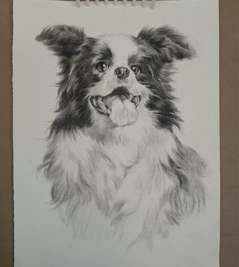 素描人头像静物作品   现画临摹也可以  ...