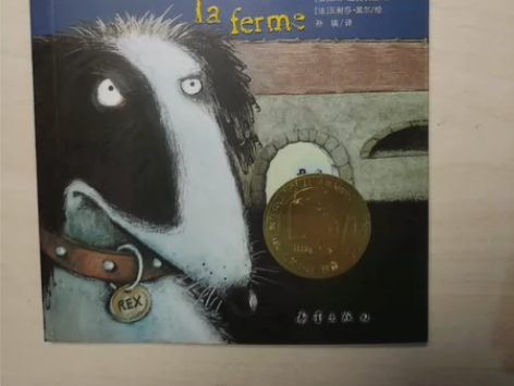 农场疑案/国际大奖小说，法国青少年侦探小说...