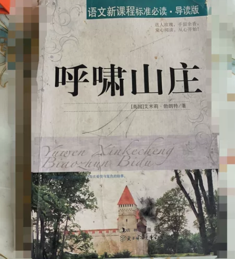 出《呼啸山庄》，出闲置付邮送，直接拍就行。...