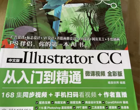 正版二手 中文版Illustrator C...