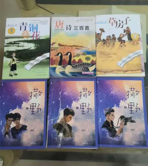 出售几本书籍,需要的联系我哦:青铜葵花,幽...
