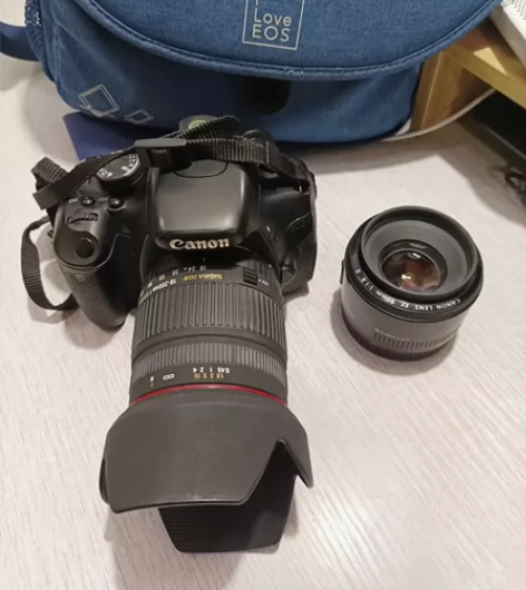 佳能600D+小痰盂二代+适马18-200...