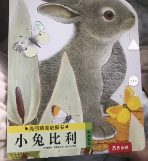 小兔比利和小熊波比触摸书精装硬壳，一本13...