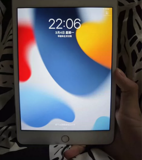 ipad mini4128g 功能全好，仅...