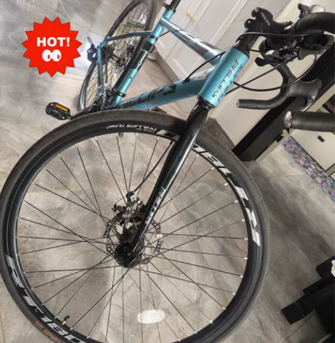 出一辆自用菲利普公路自行车，22年年底购入...