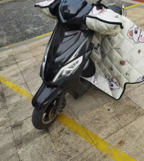 过年了，离开杭州了，新大洲本田D1电动车4...