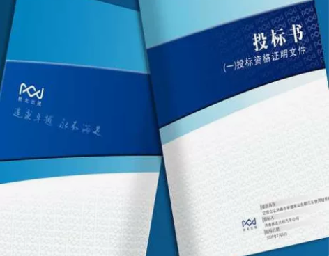 代做标书（投标文件）电子标/商务标/技术标...