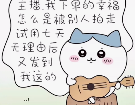 冲浪多年大部分问题都可以解决 报错修复、系...