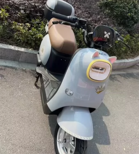 杭州同城转手新国标二手电瓶车,车子带黄牌正...