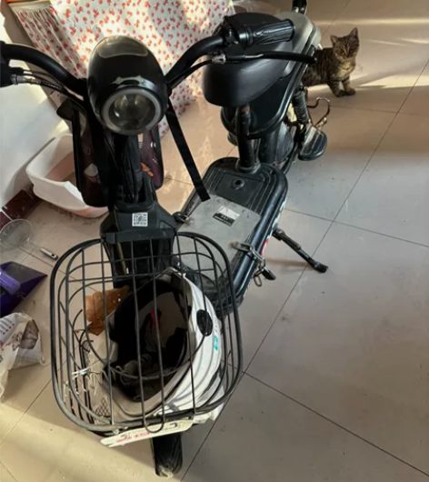 出爱玛电动车 标价卖价 不可刀 二手 个人...