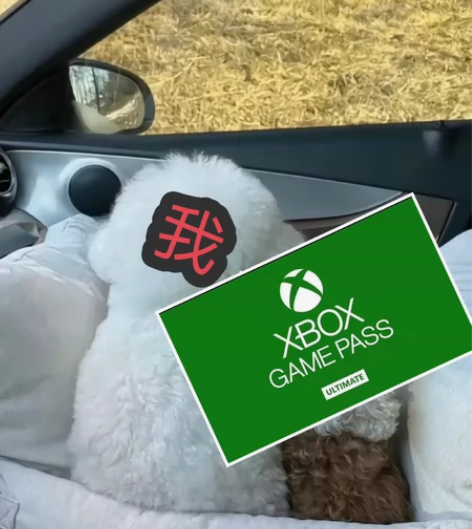 xgpu共享  pgp xgp 一年共享 ...