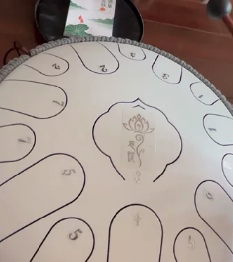 老年大学不去学了，闲置出，空灵鼓15音乐器...