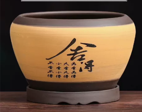 陶瓷花盆兰花蝴蝶兰粗陶透气君子兰创意个性盆...