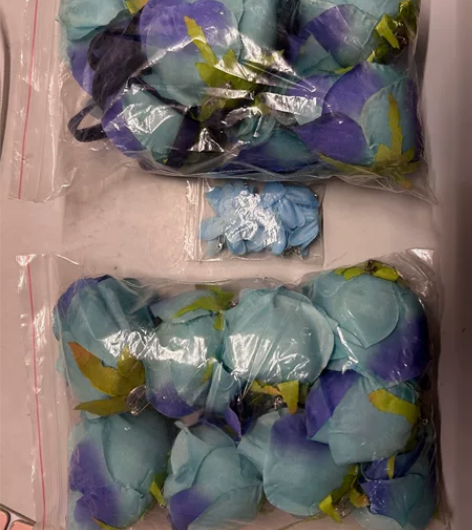 （已预定 尾款）小鸟和他的朋友们家的公孙离...