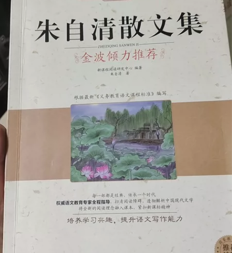 朱自清散文/N+1分级阅读丛书 感兴趣的话...
