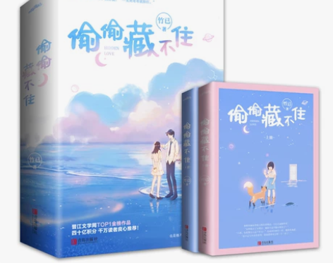 偷偷藏不住小说实体书正版全套竹已全二册青春...