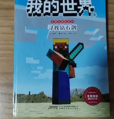 我的世界史蒂夫冒险系列1 寻找钻石剑 内部...