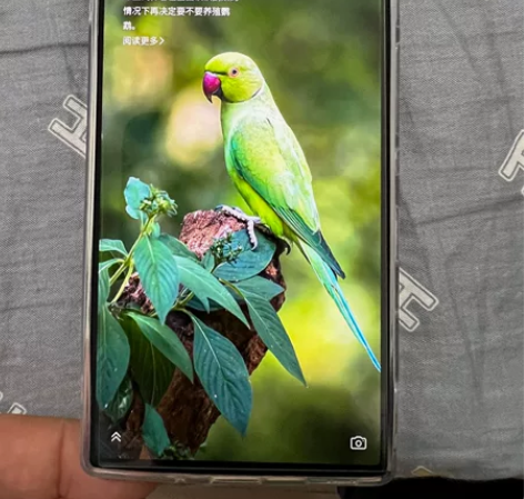 努比亚 红魔 9 Pro+ 16G+512...