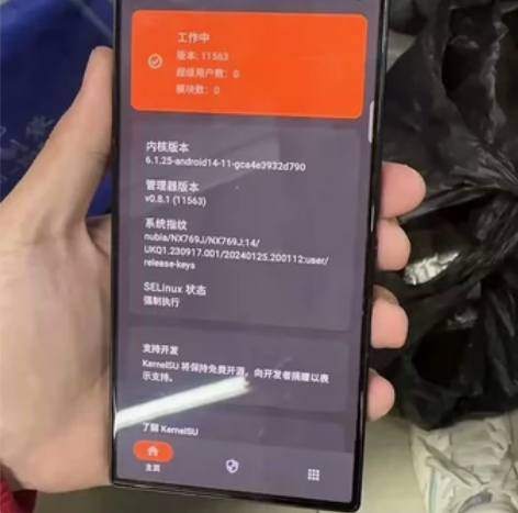 ?红魔9Proroot机，已经获取内核ro...