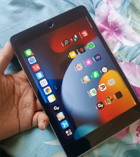 IPAD迷你4 64g外观95新，原来给孩...