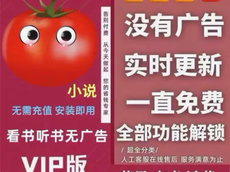 【自动发货】番茄小说，去广告，会员，免费看...