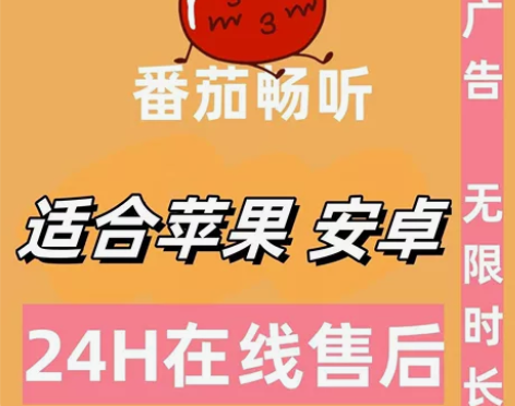 【自动发货】番茄小说，去广告，会员，免费看...