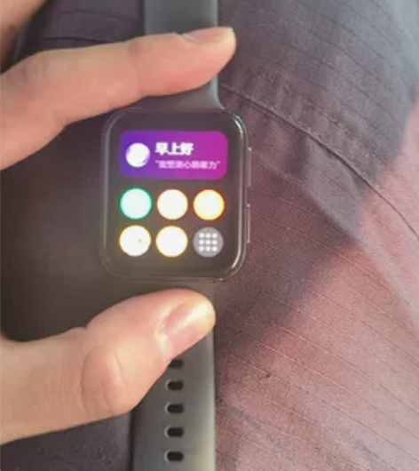 oppo watch 2    esim版...