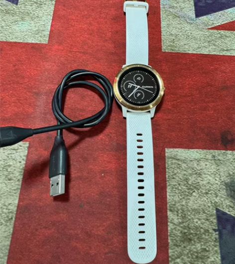 佳明（GARMIN）Vivoactive ...