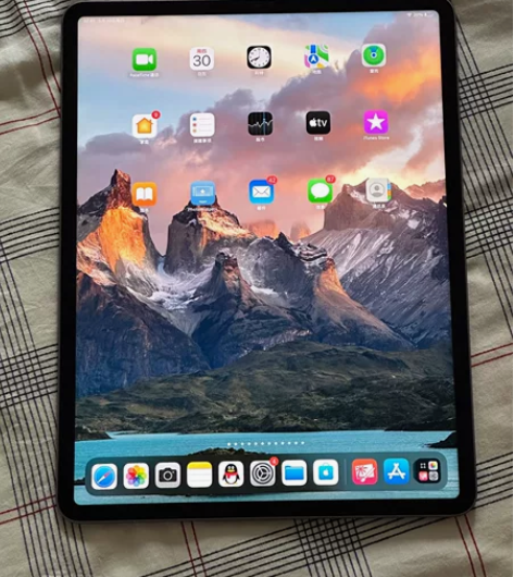 iPad Pro 2021 （第5代）国行...