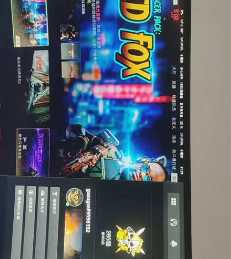 使命召唤19满级枪械求赞助无本体steam...