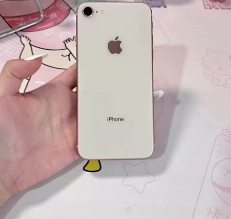 大学生女孩子自用 iPhone 8 64g...